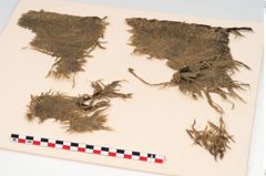 Foto von Textil (NHMW-PRAE-126320)